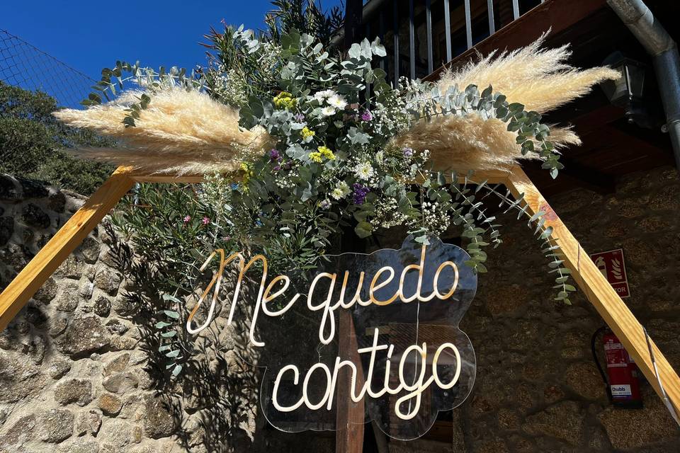 Decorando Momentos Ambroz