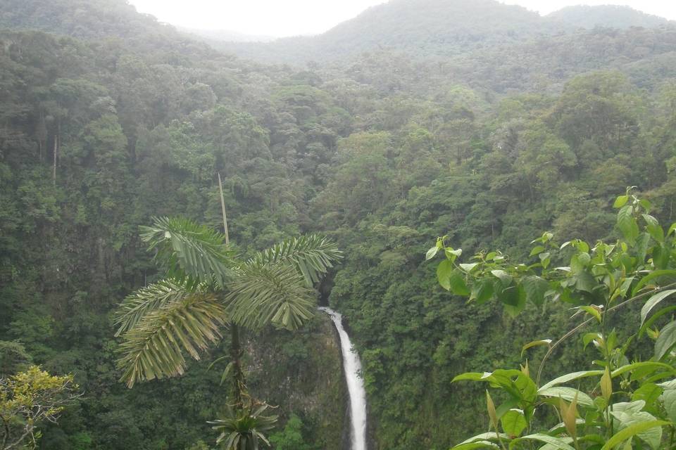 Catarata la Fortuna