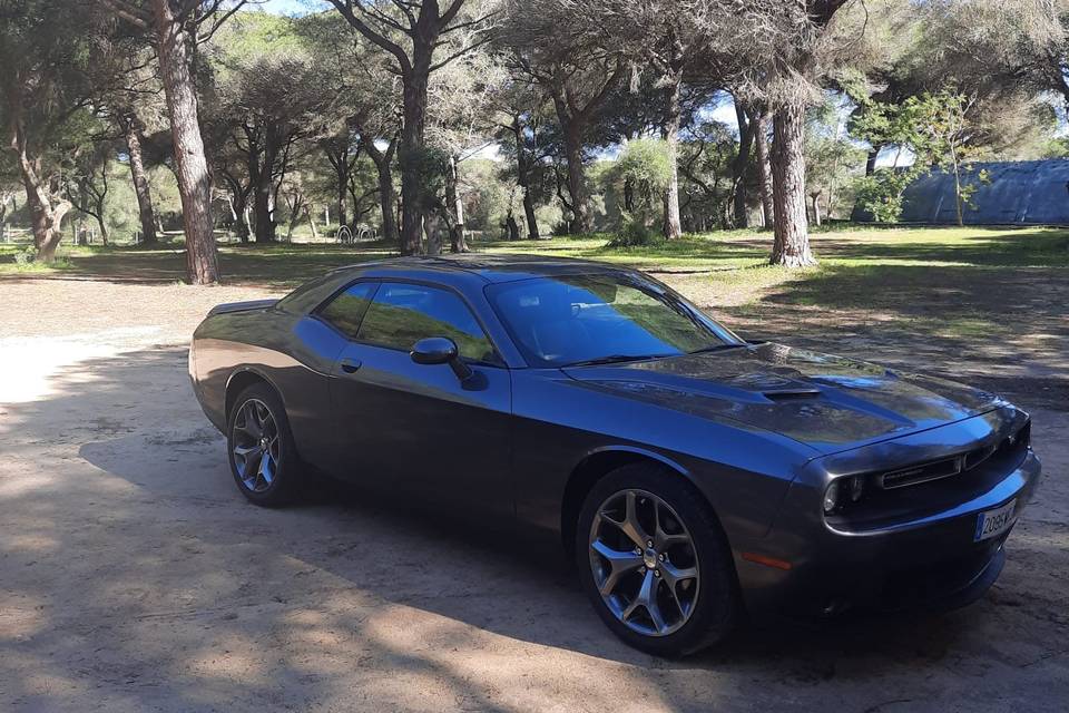 Alquiler de Dodge Challenger