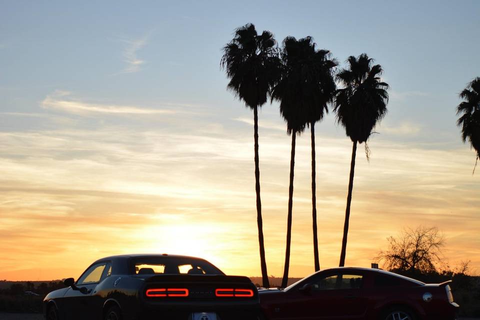 Dodge challenger novios