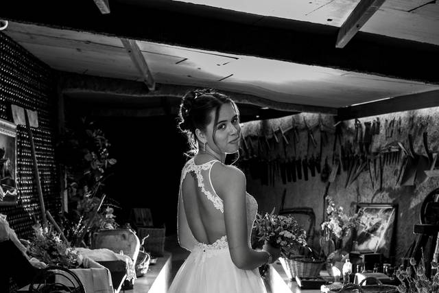 Novia