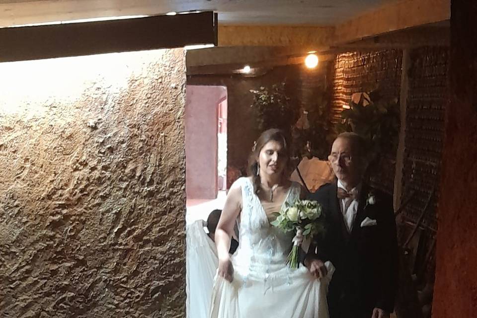 Novios