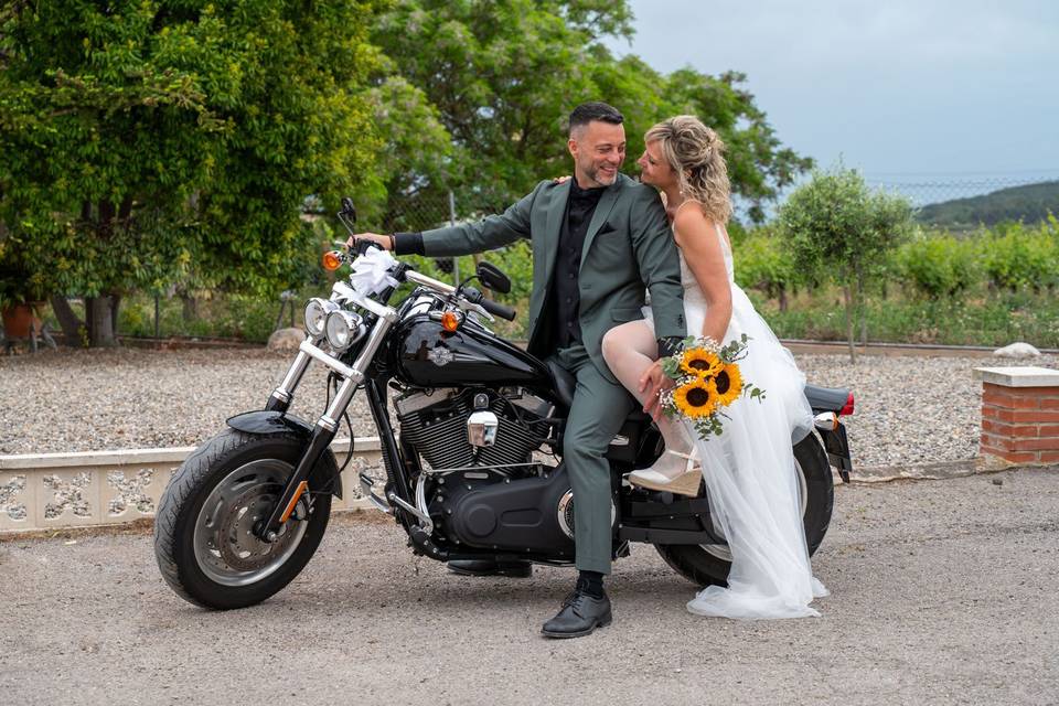 Novios