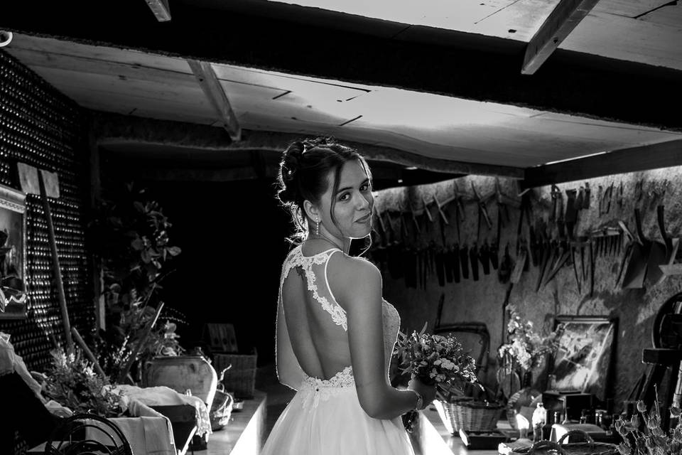 Novia
