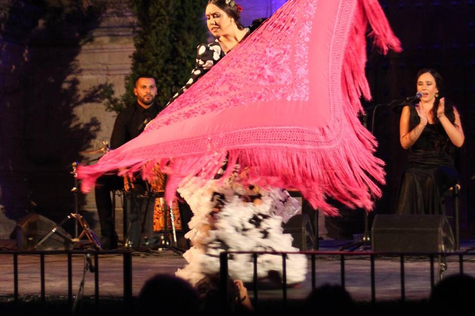 Cuadro Flamenco Laura Guerra