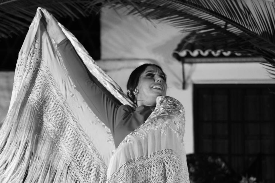Cuadro Flamenco Laura Guerra
