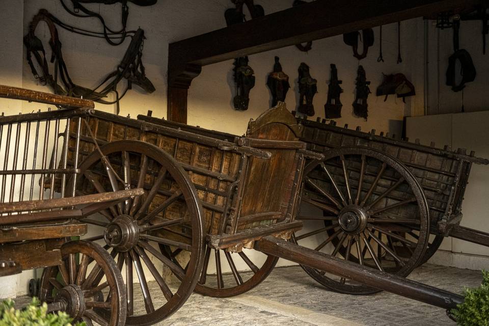 Carros