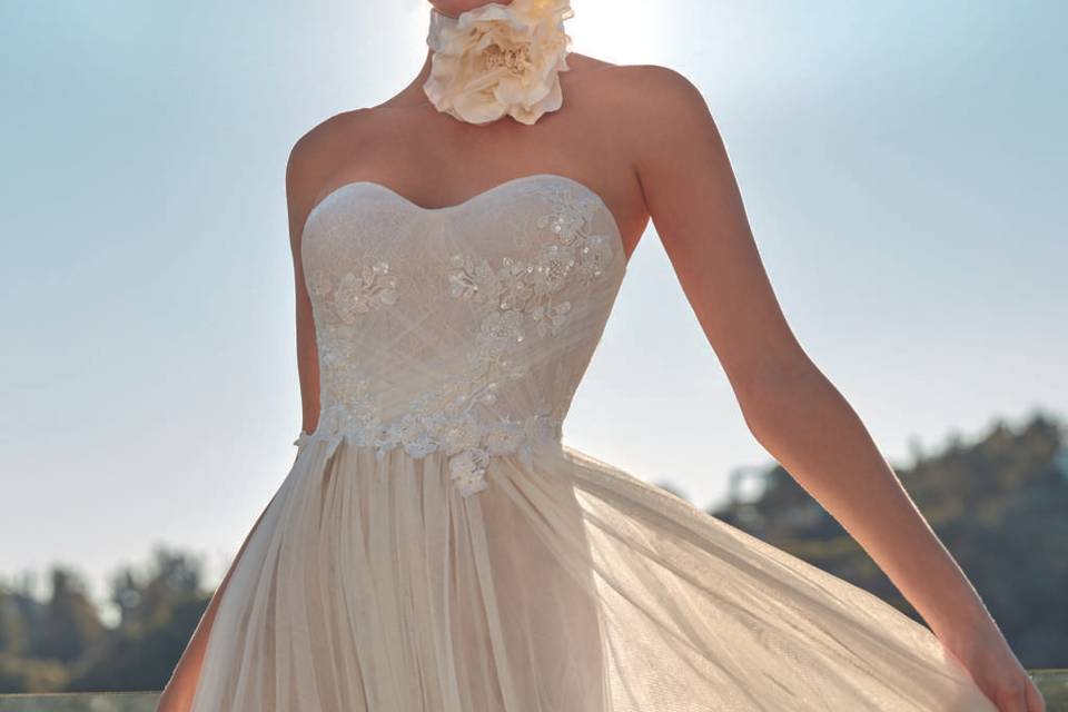 Zahara