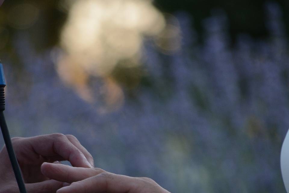 Intercambio de anillos