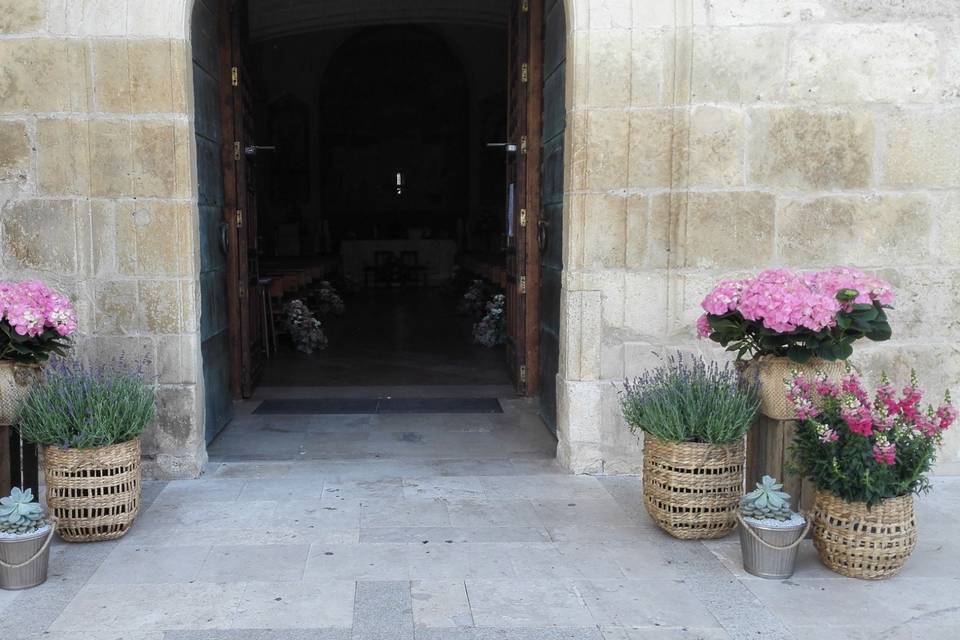 Floristería Pétalos