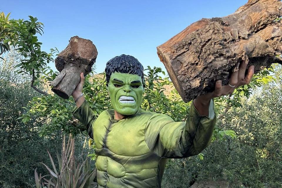 Personaje Hulk