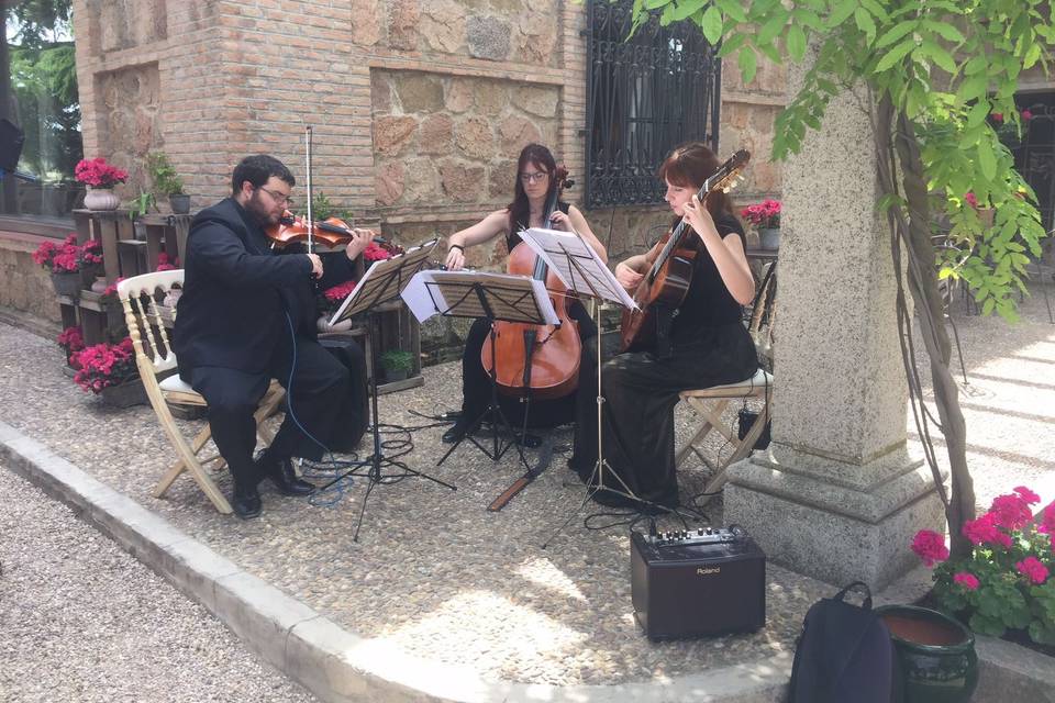 Boda de Javier y Letizia