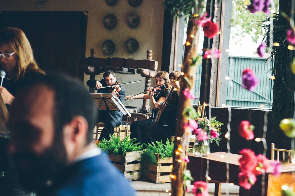 Guitarra en ceremonia religiosa