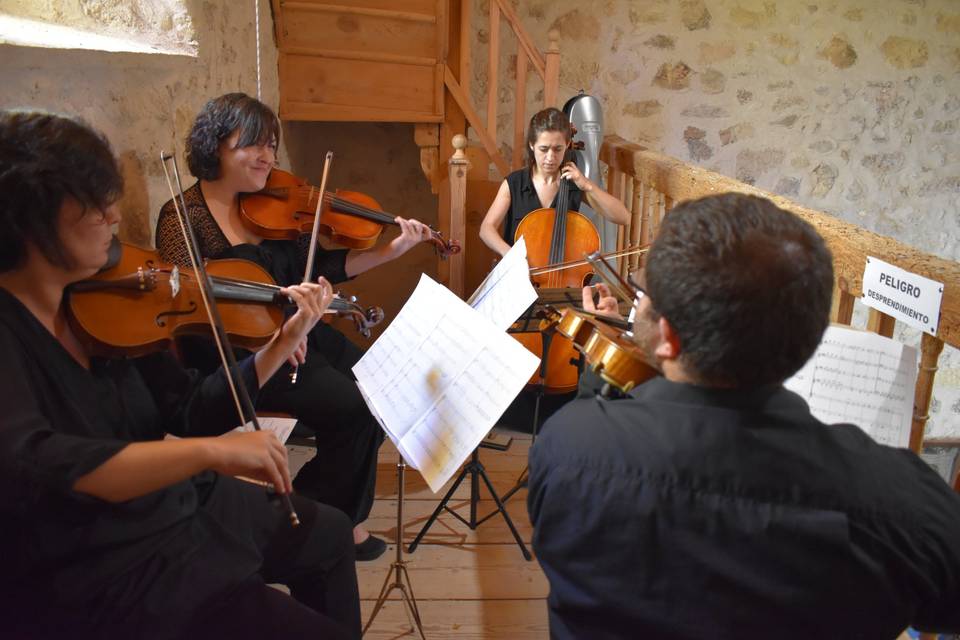 Cuarteto de cuerda