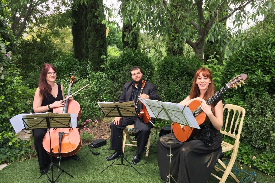 Boda de Javier y Letizia