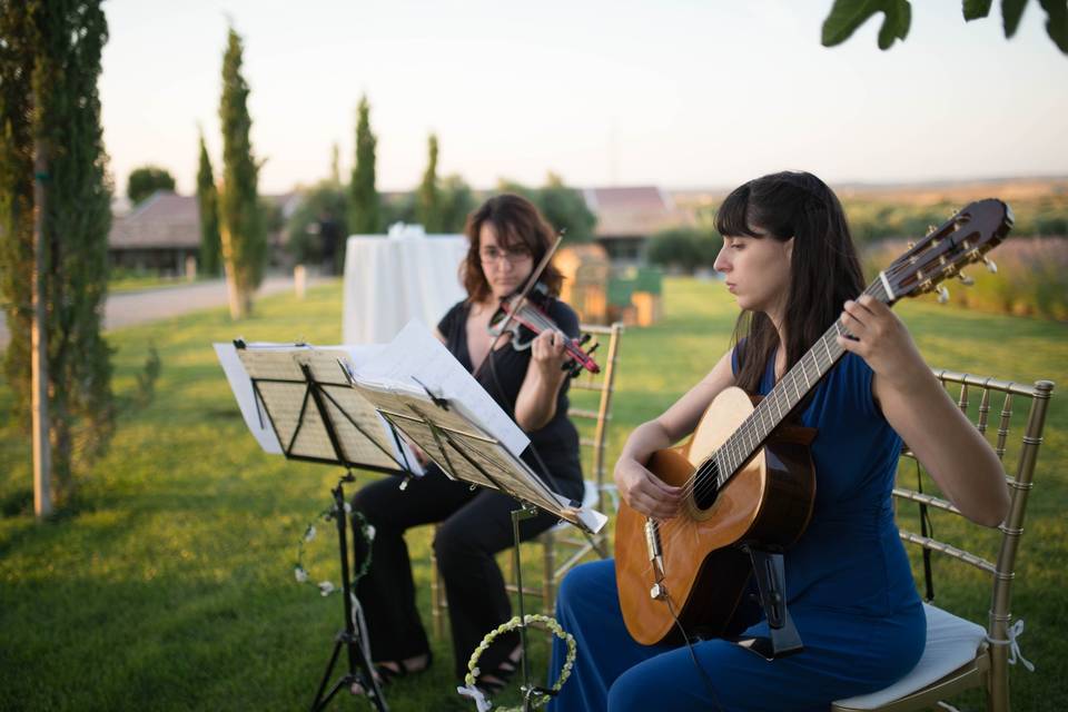 Ponchelina by Músicos Madrid