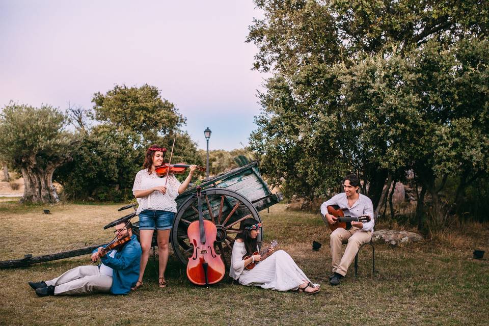 Cuarteto de cuerda