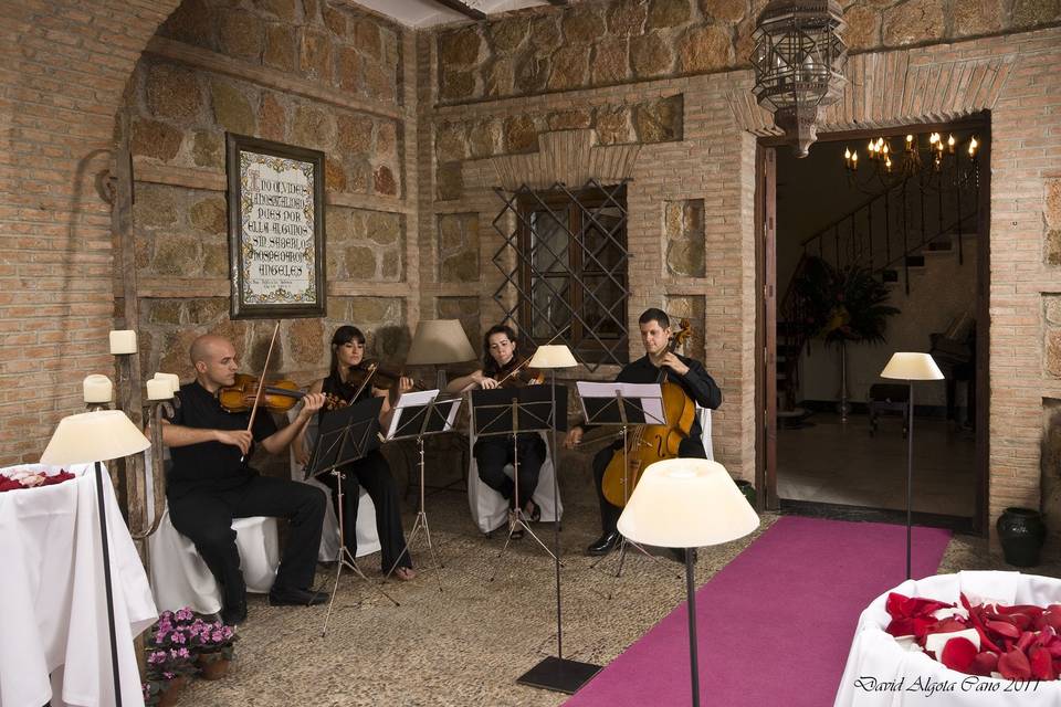 Grupo de cuerda para bodas