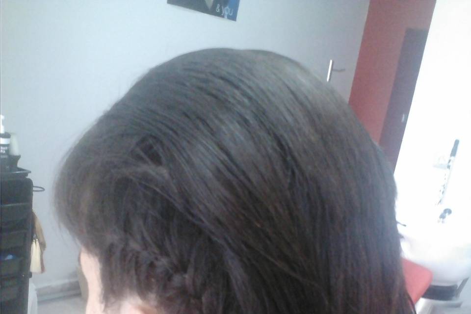 Semirecogido con trenzas