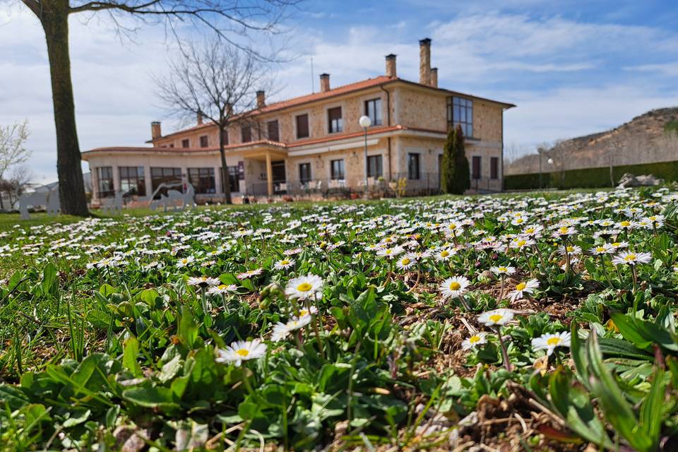 Jardín. Llega la primavera.