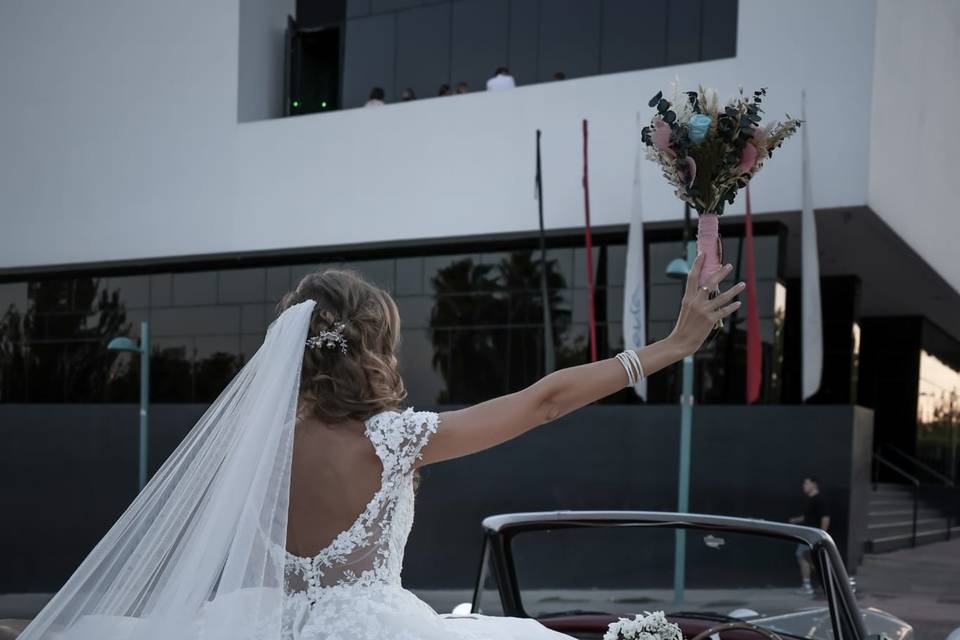 Alma Mia Studio