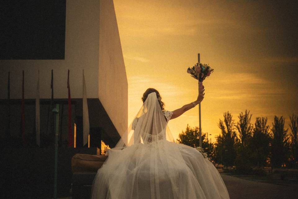 Alma Mia Studio
