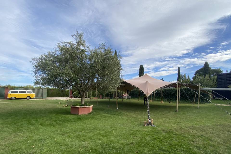 Alma Mia Studio