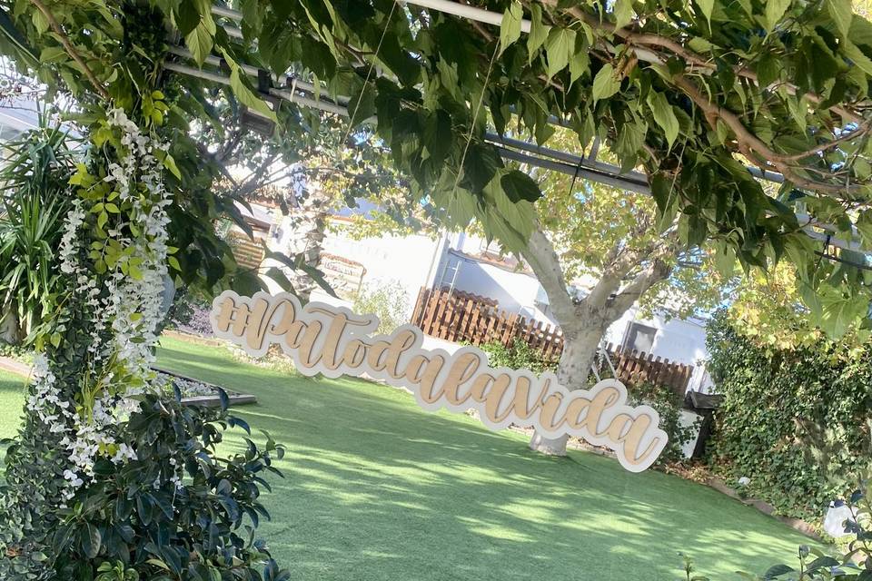 Alma Mia Studio