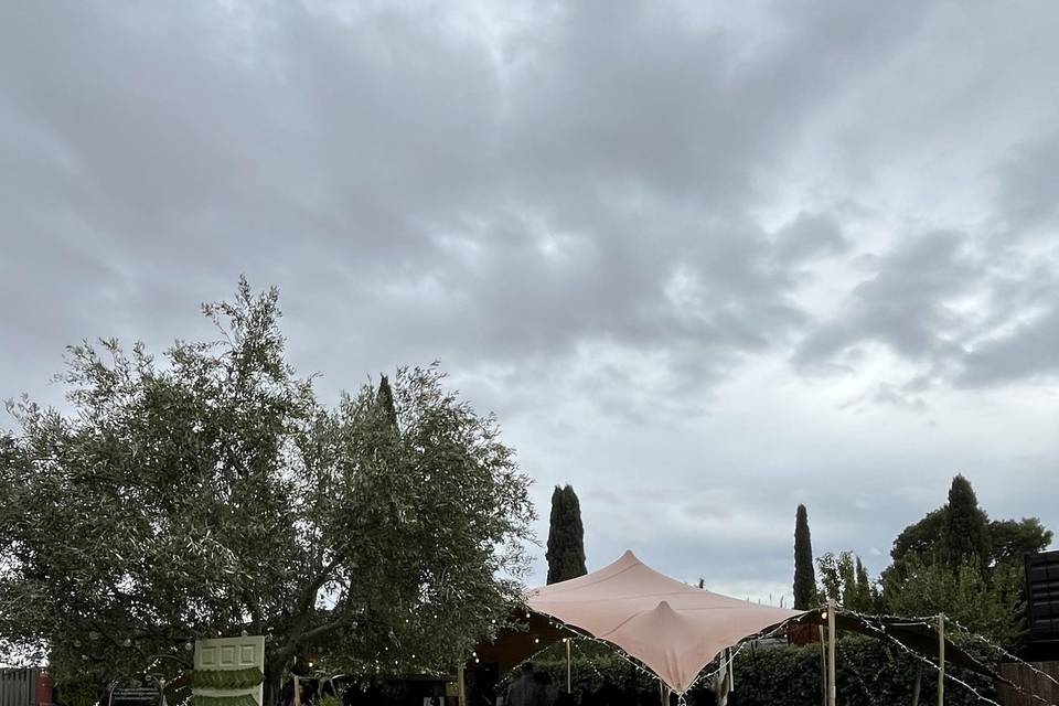 Alma Mia Studio