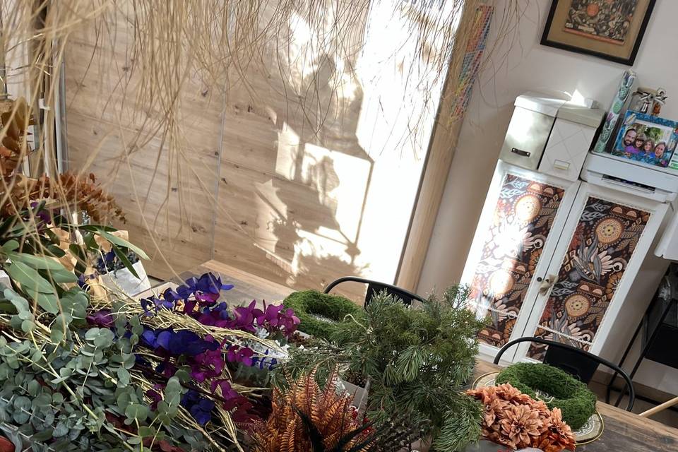 Alma Mia Studio