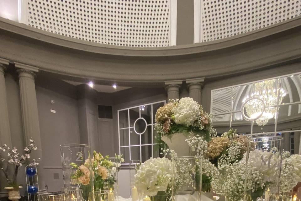 Alma Mia Studio