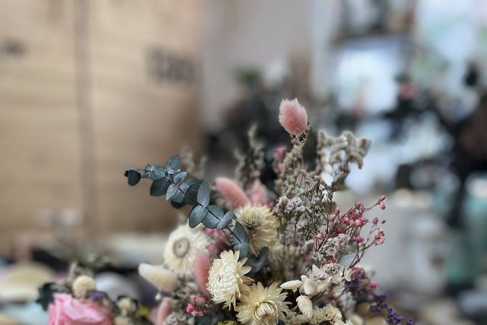 Alma Mia Studio