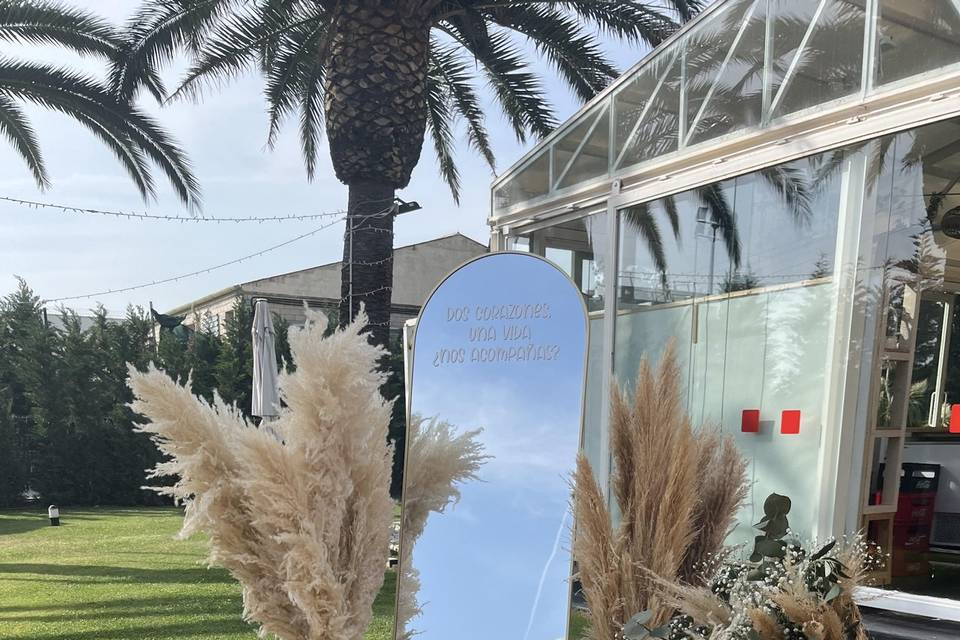 Alma Mia Studio