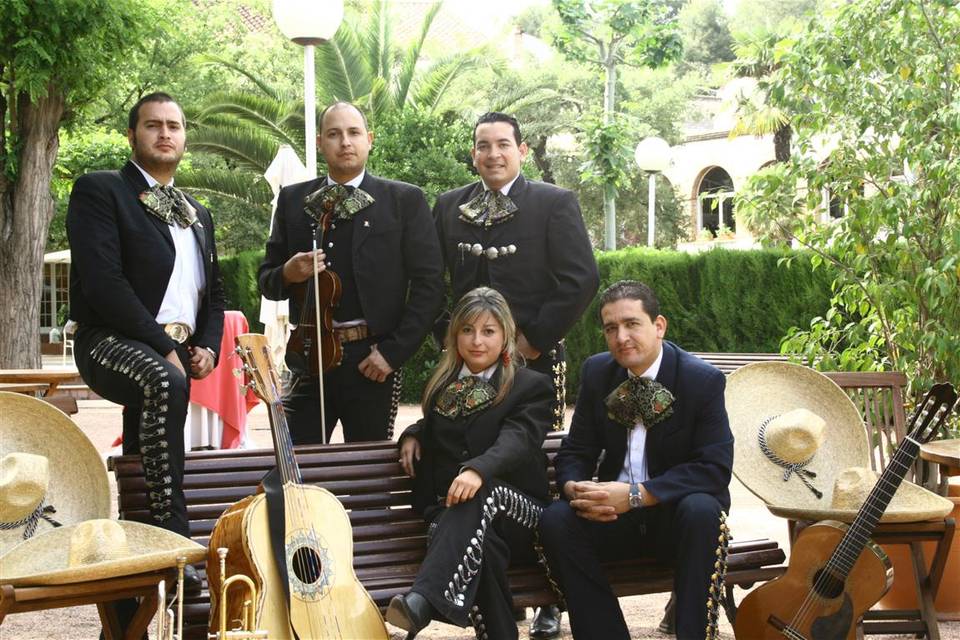 Cinco mariachis