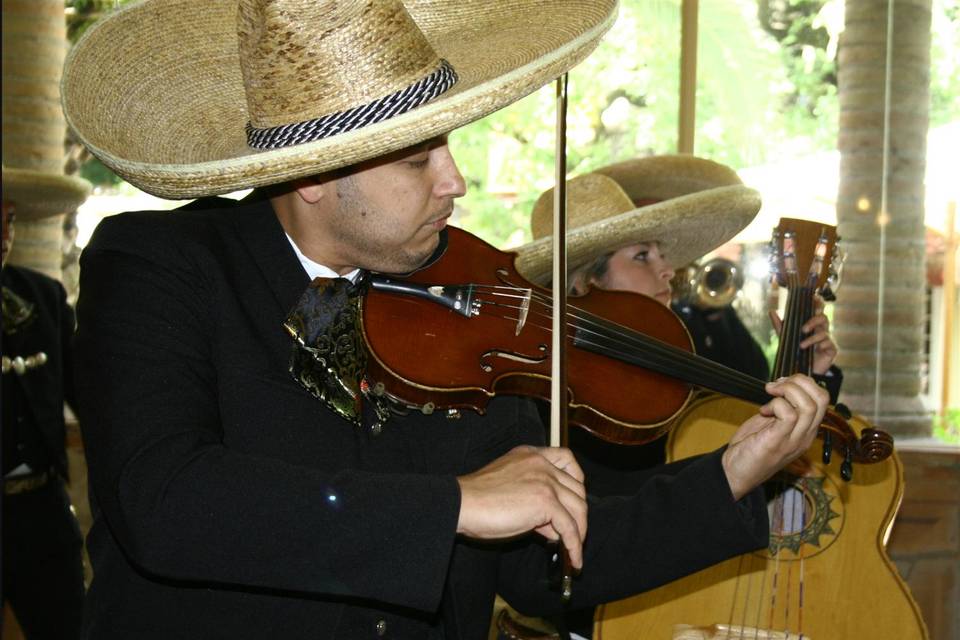 Violín mariachi