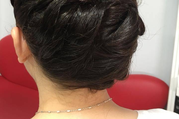 Trenza coleta