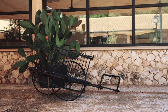 El patio
