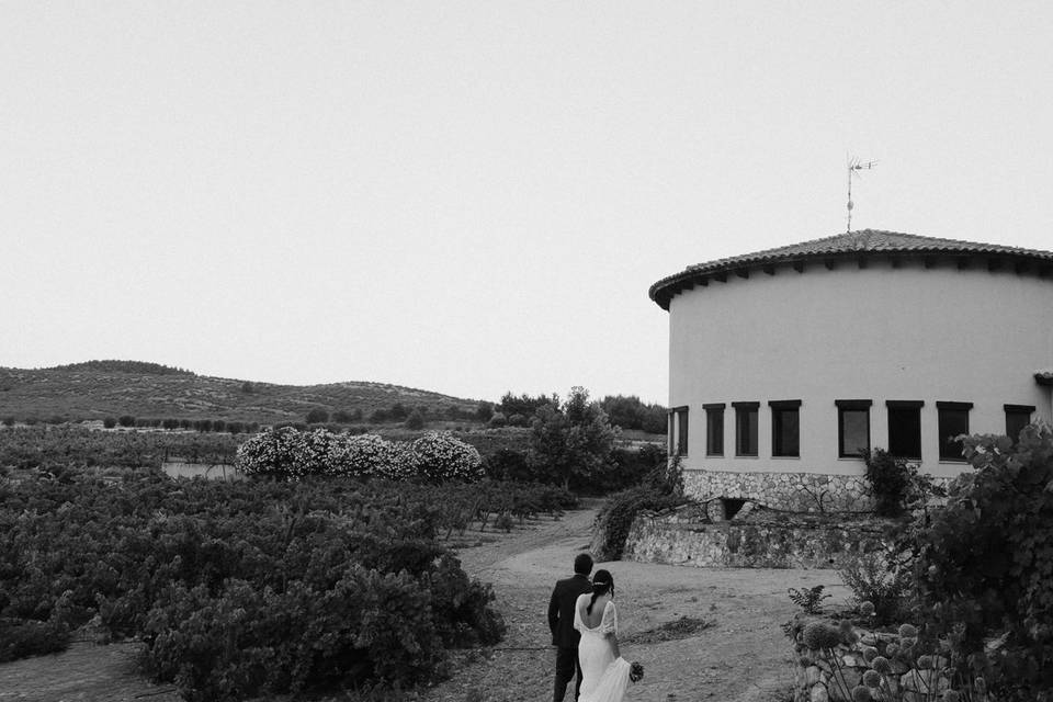 Paseando por el viñedo