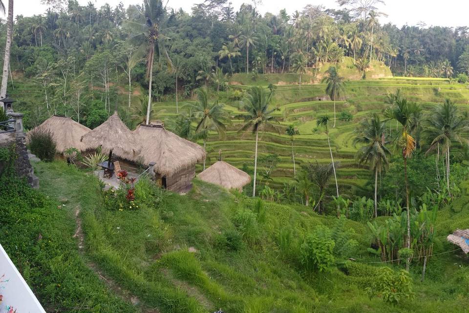 Ubud Bali