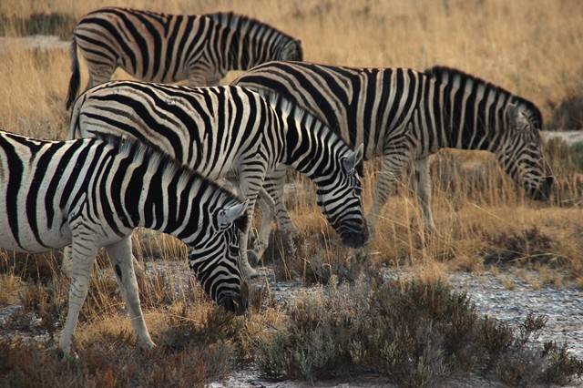 Namibia