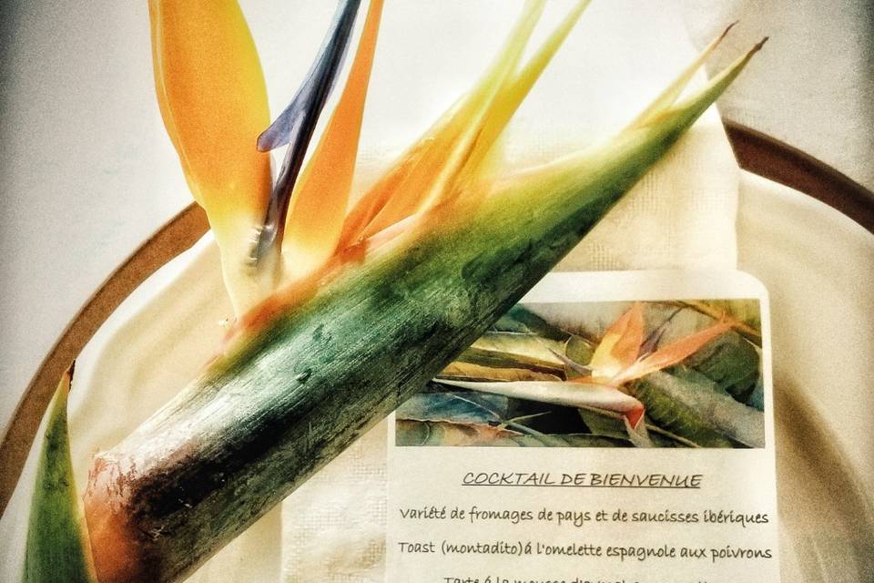 Decoran bonito