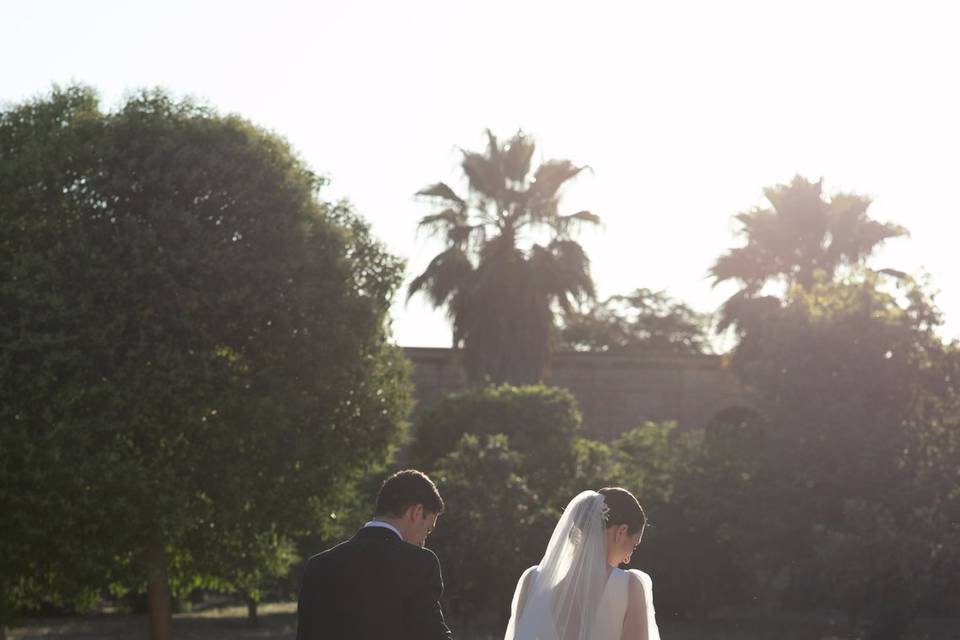 Bodas de Azul