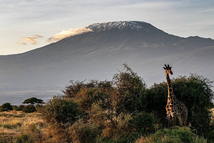 Safaris por África