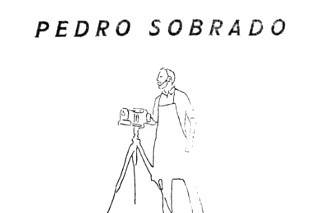 Pedro logo