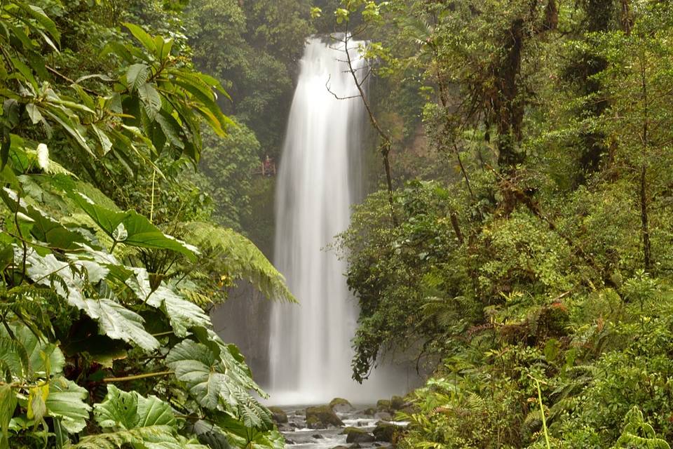 Costa Rica, naturaleza pura