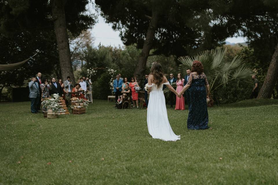 Neroli Weddings and Events