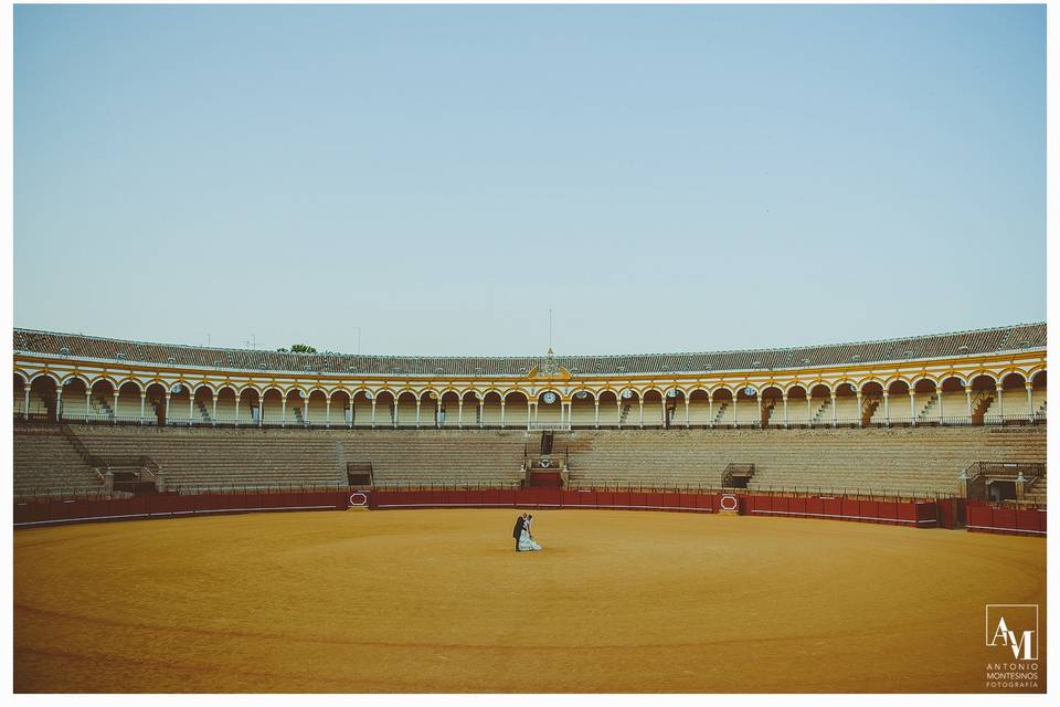 Antonio Montesinos Fotografía