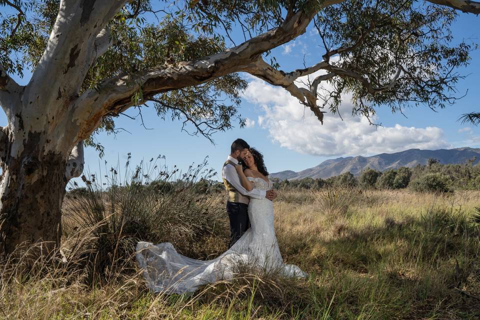 Postboda