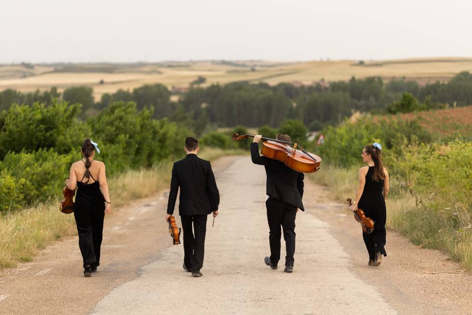 Cuarteto Staccato