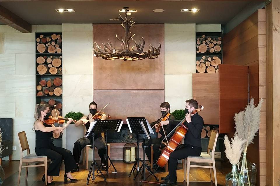 Cuarteto Staccato